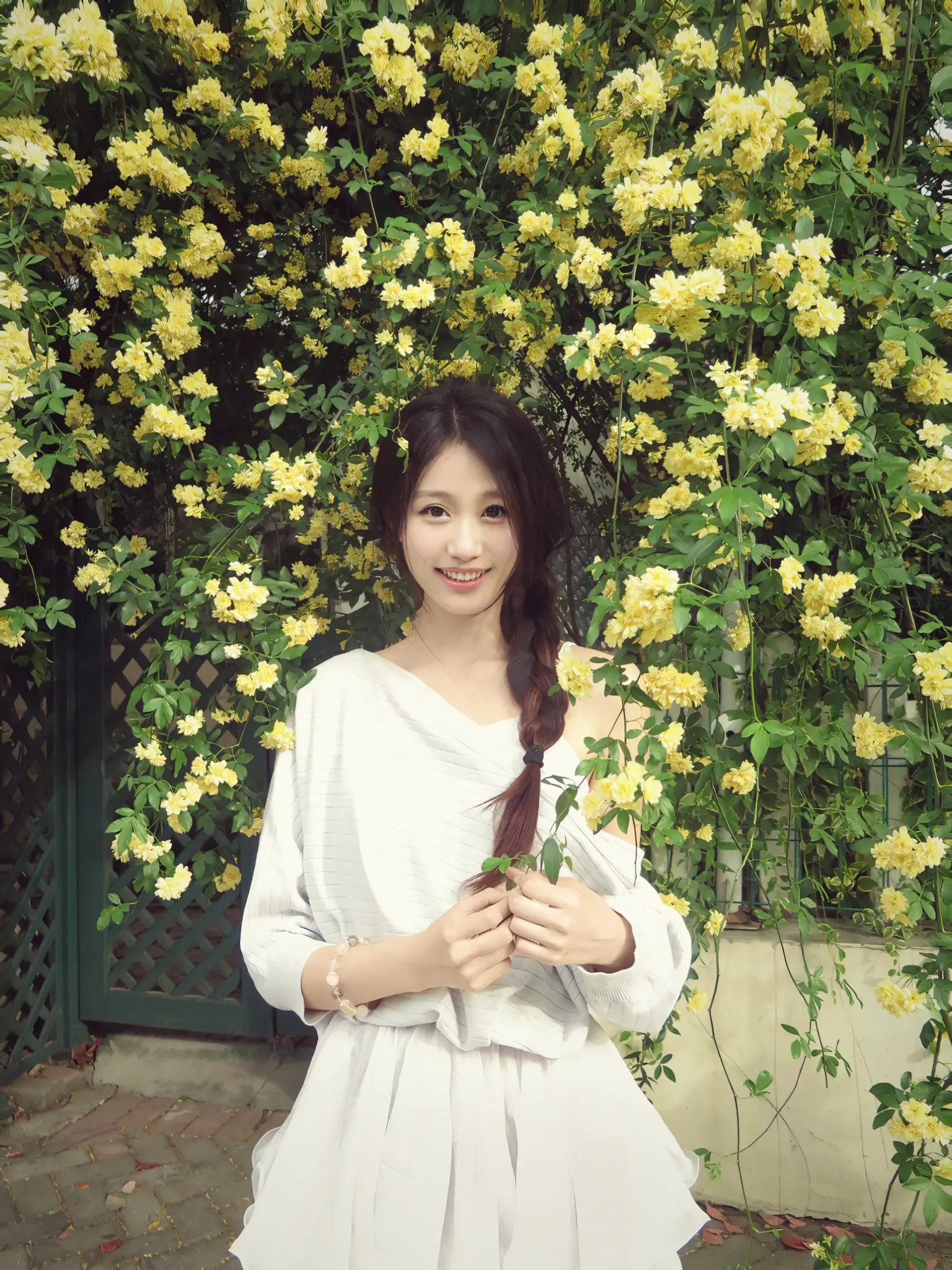 故事的小黄花～🌼