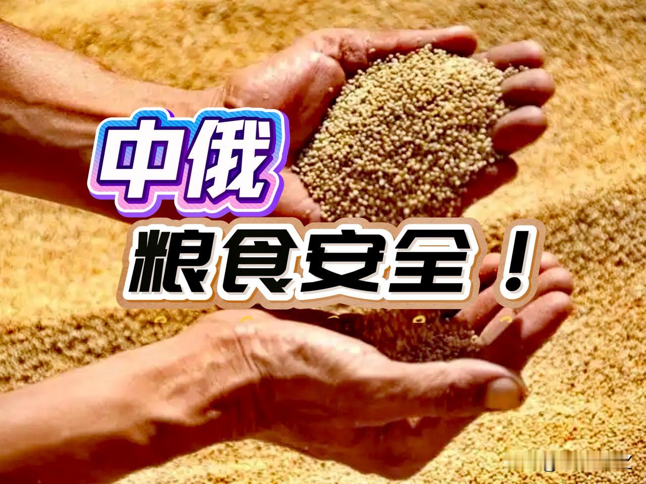重大战略信号！深化农业领域协作符合中俄经济利益，有助于提升两国粮食安全。

俗话