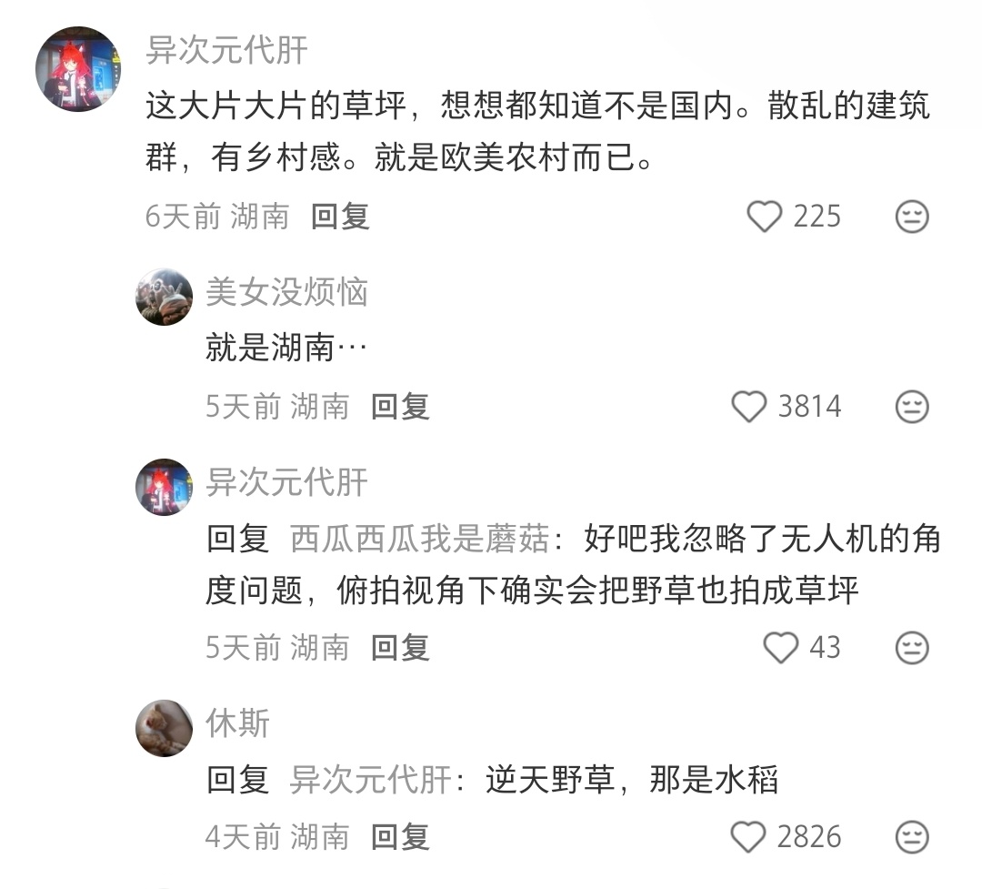 把水稻田看成草坪，狂吹欧洲，能不能自己去经历一次上山下乡啊，这种你受得了嘛[允悲