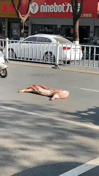 不是你撞的，你为什么去扶？这世道人们被讹诈怕了，连整块猪肉掉在路上都没有人敢去捡
