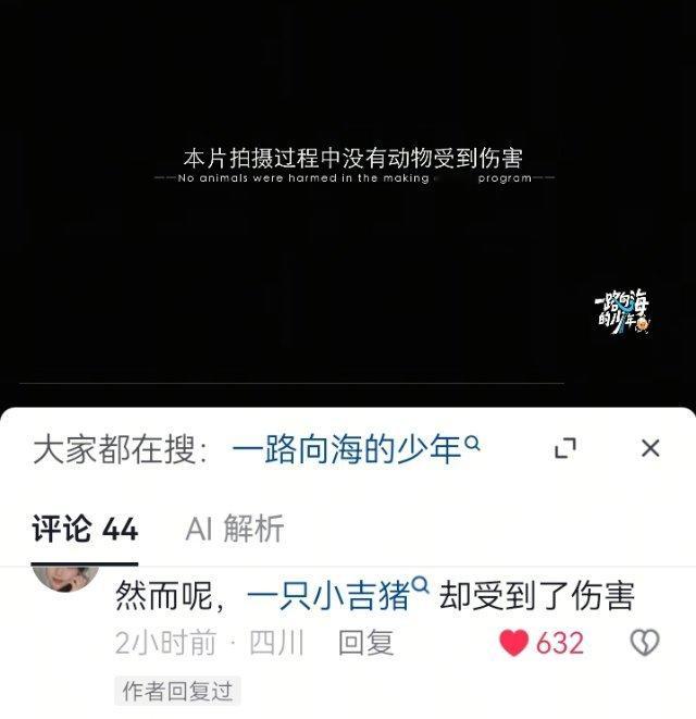 你们伤害到我家小猪了 ​​​