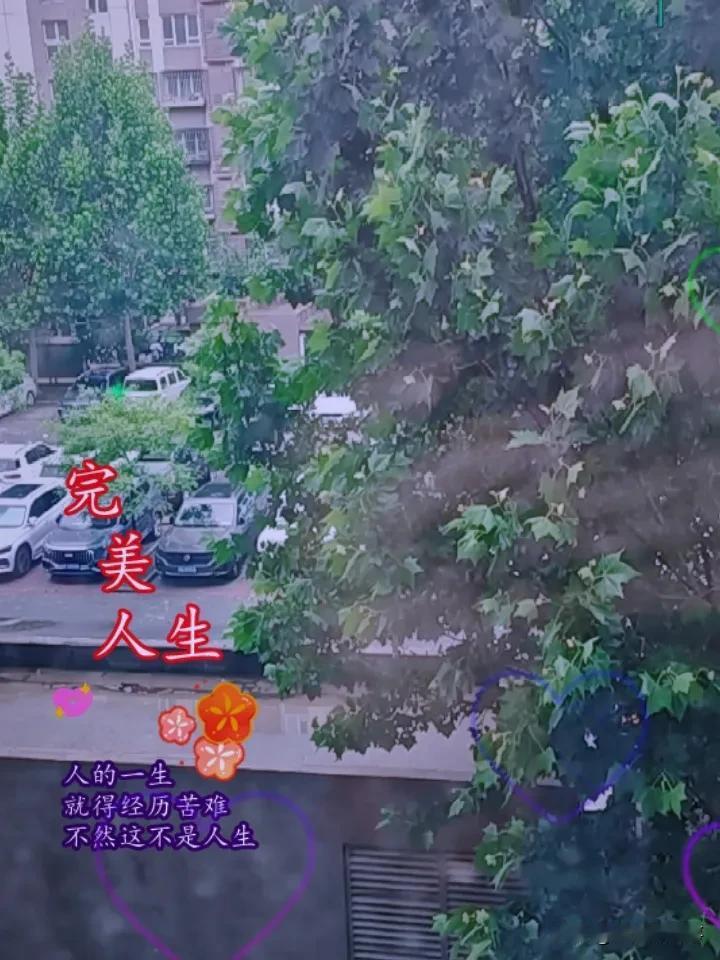 每天醒来
先在床上完成可以在手机上该做的

昨天太累了
今天五点才醒

但昨天完