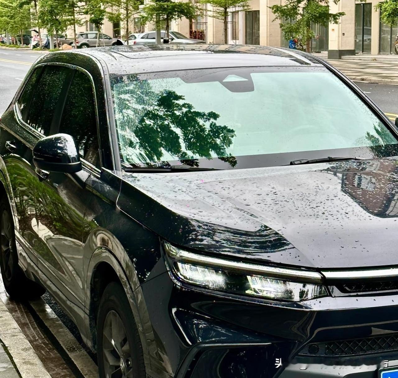 钱不是万能的，但没有钱，真的是万万不能，这是人生铁律，无法反驳也无从反驳。
  