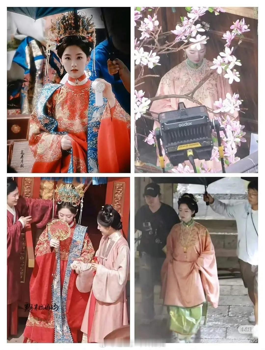 两位05花更看好哪个 ​​​