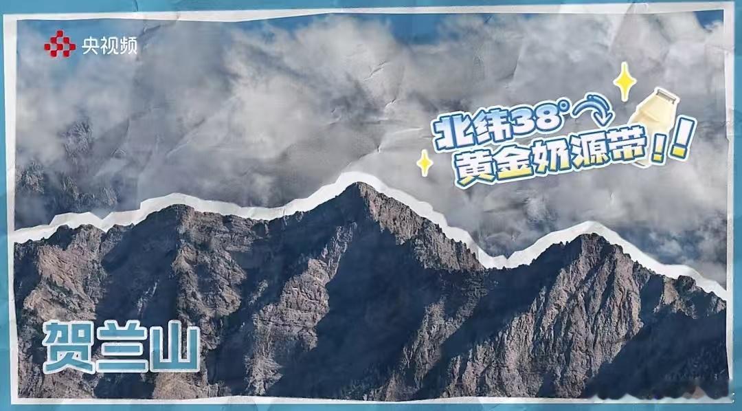 中华美食荟寻味大美宁夏购在中国乐购宁夏宁夏坐拥北纬38度黄金奶源带，背靠贺兰山优