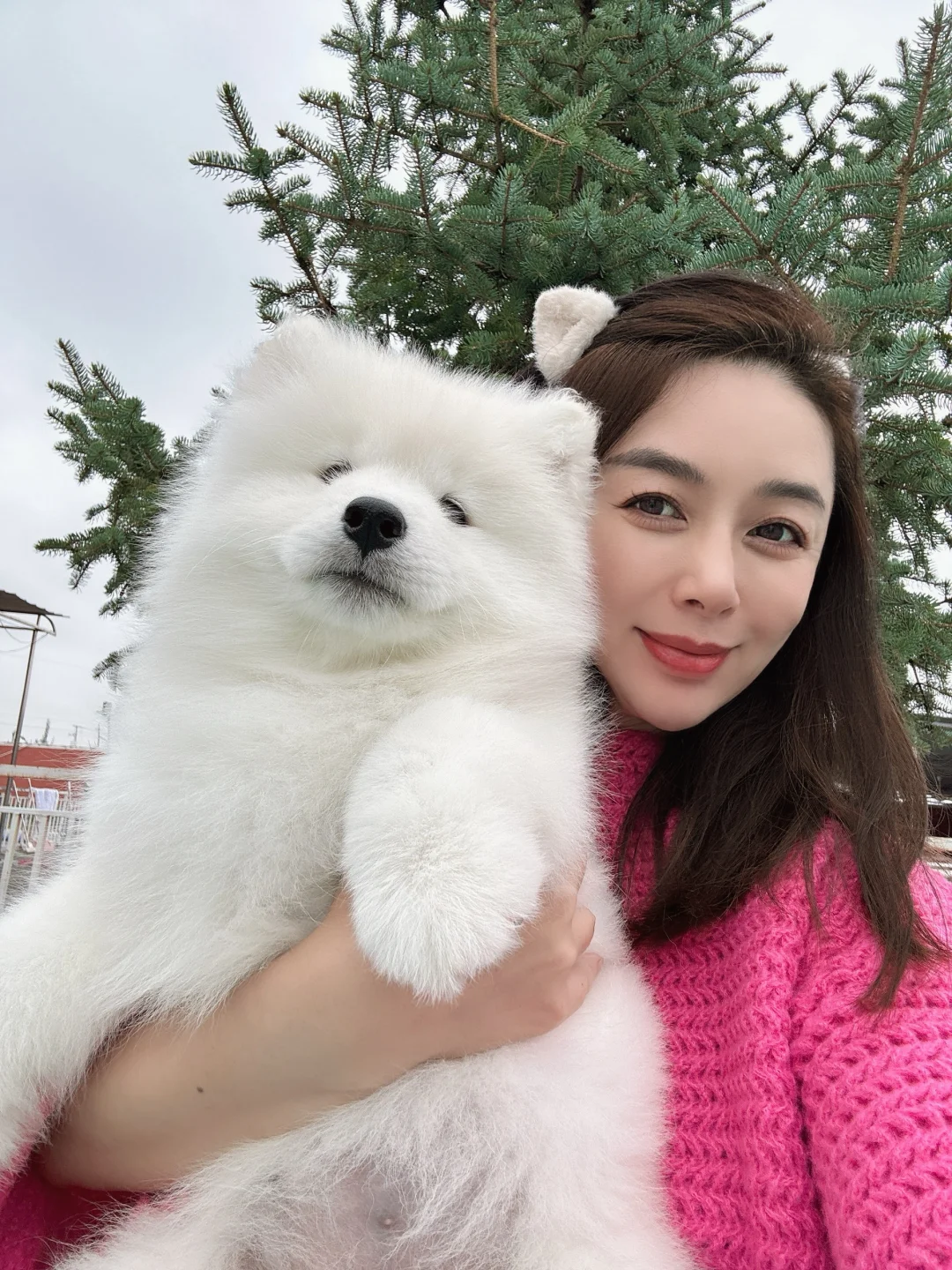 赵富贵与Queen的女儿“胖妹妹” 两月龄，随拍[飞吻R]