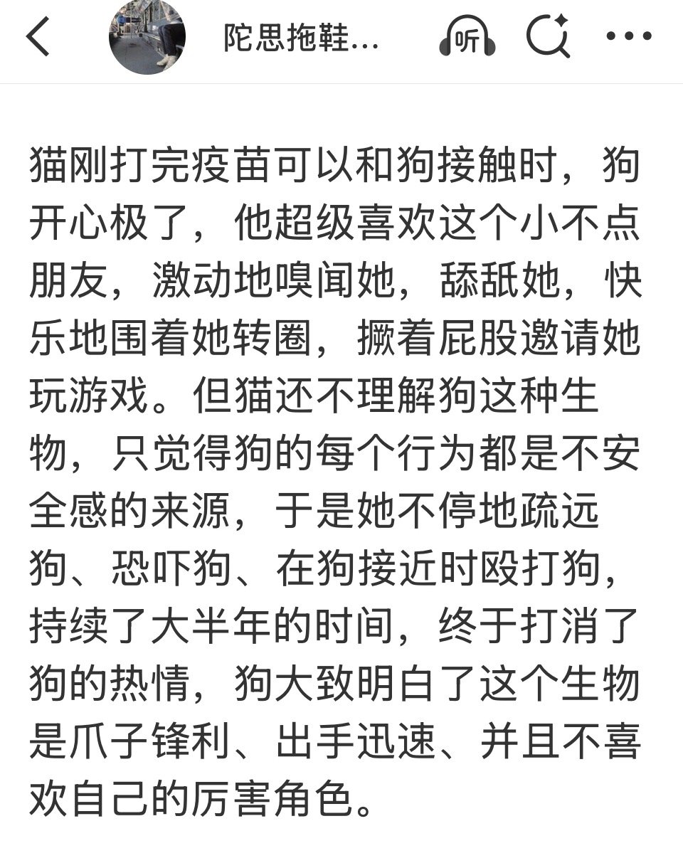 猫儿啊狗儿 