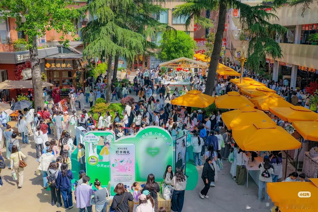 成毅内娱活粉数量这一块没得说就这么水灵灵的给ee搞了个痛街玩👍🏻 