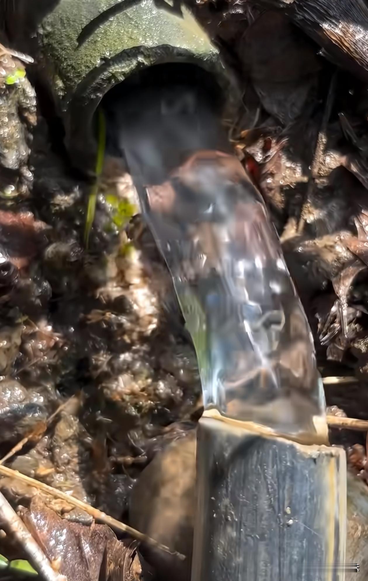 程序虽然有漏洞，但能正常运行
