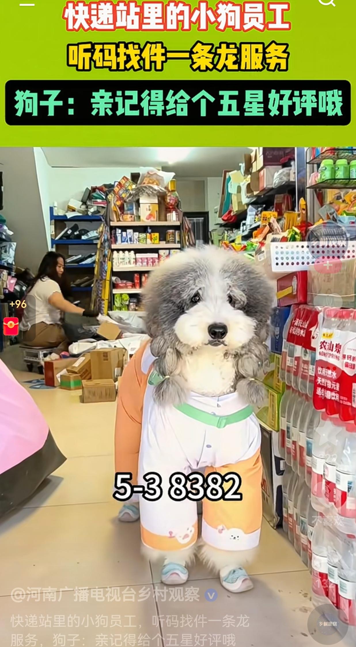 这狗狗成精了！快递站惊现“狗员工”，听码找件一条龙服务，搞笑的是，它还不忘要五星