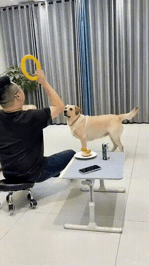 回头只是为了。。。。[看][看][看]