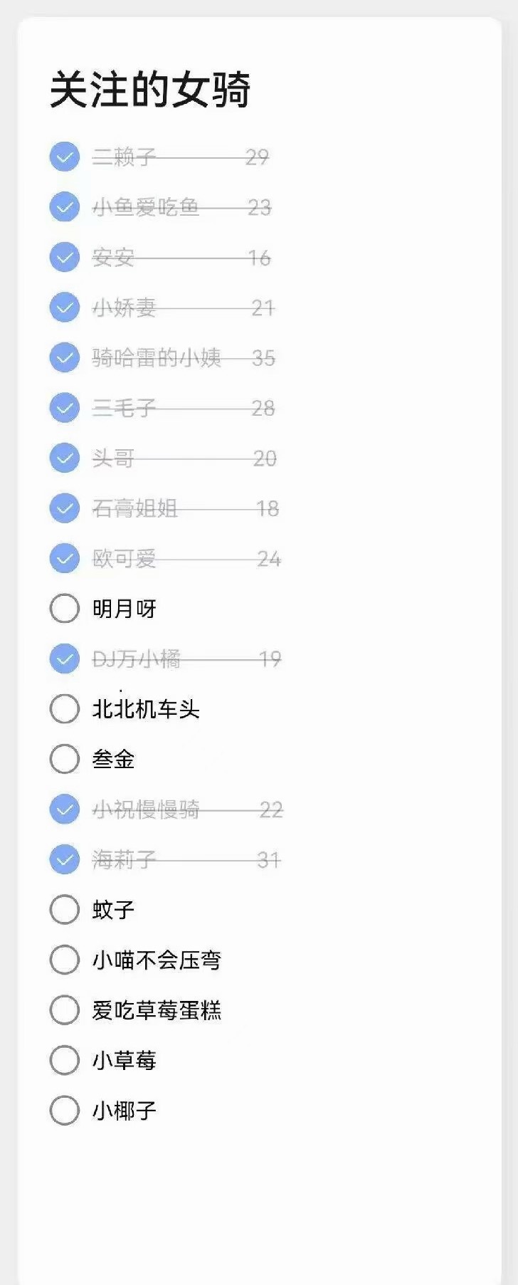 我关注的女骑士 
