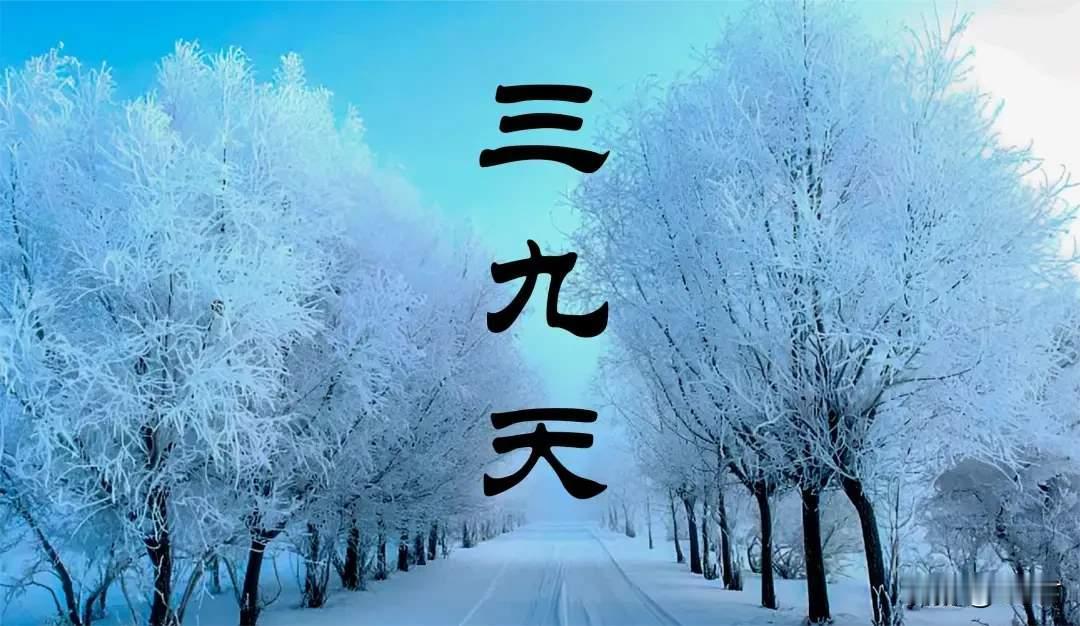 三九暖阳惊现！山东老农急跺脚：寡妇发愁非迷信，2026年粮仓危机暗藏？全球变暖下