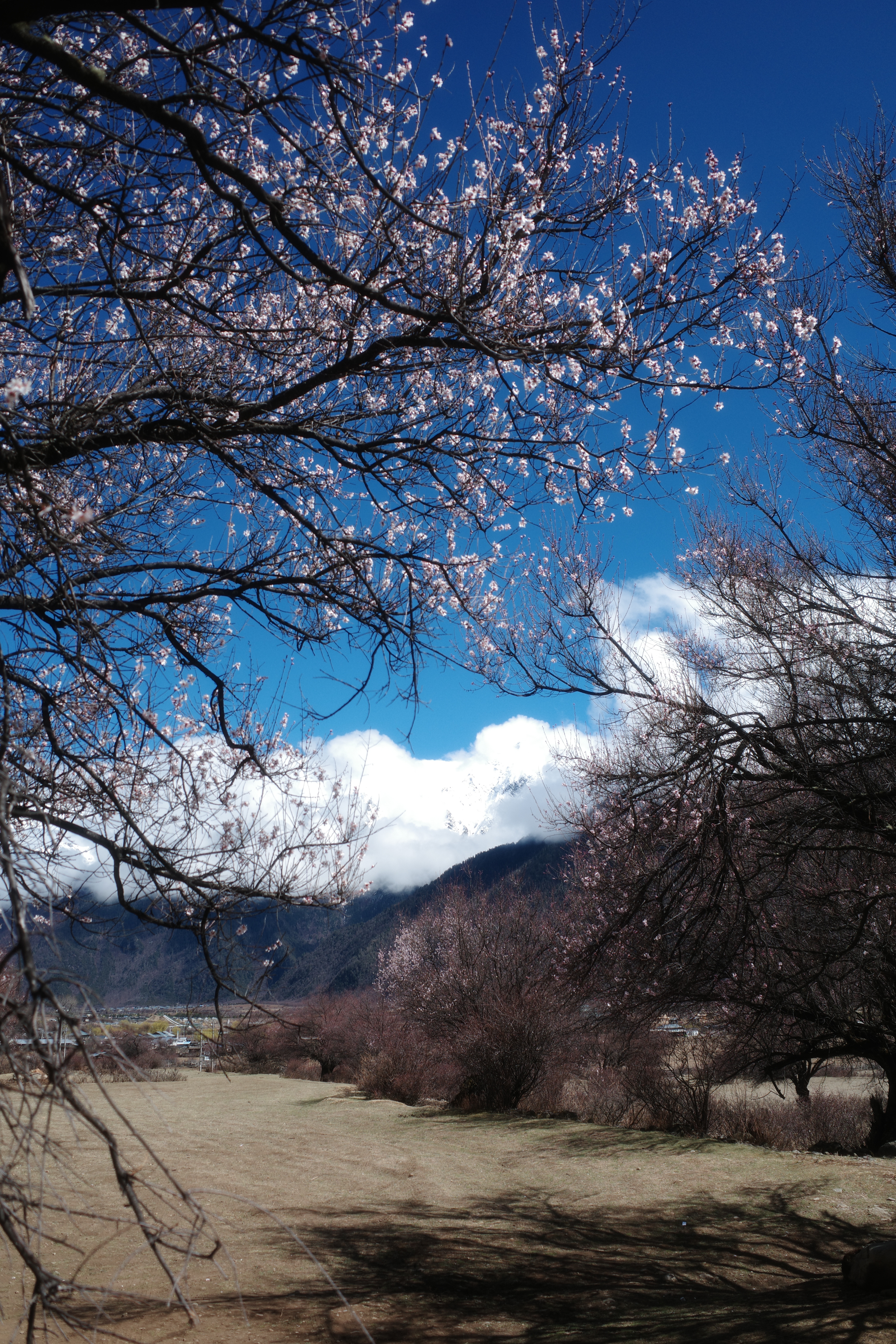 早上好啊，在家睡到自然醒真爽 苏州