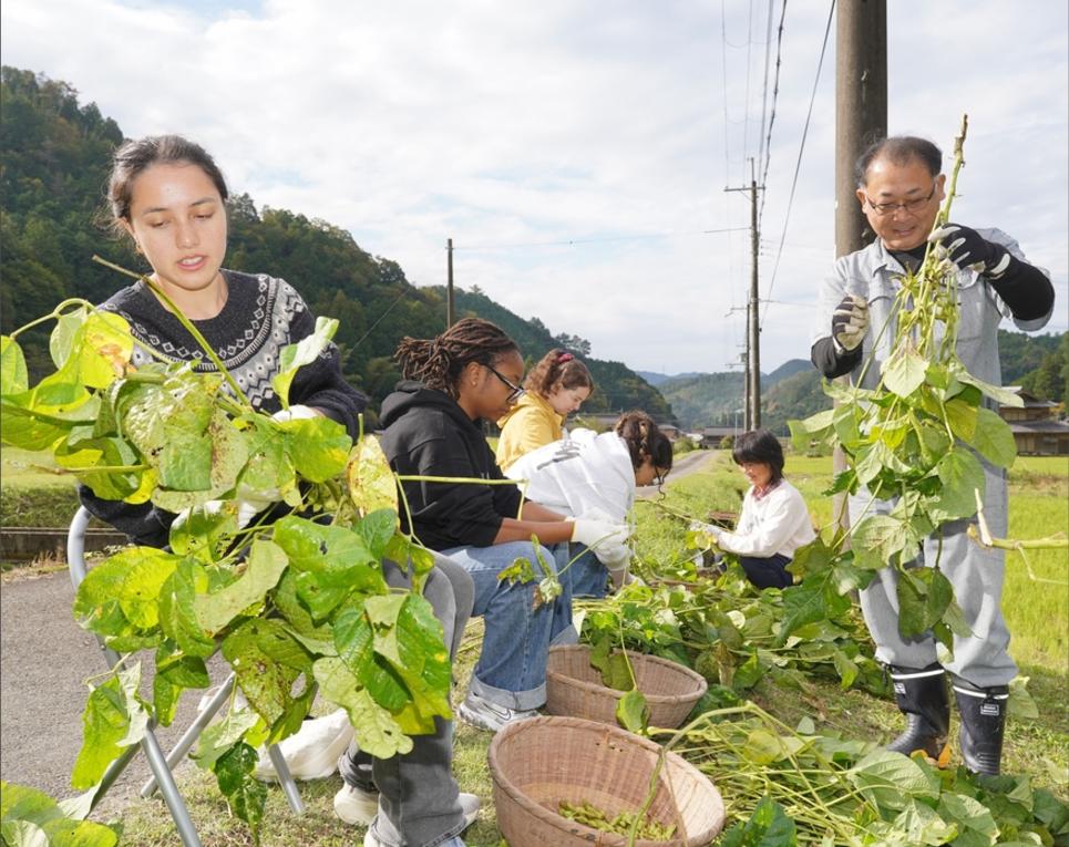 黑人留学生在日本有多惨？
据丹波新闻11月8日的消息，日本天普大学的15名学生参