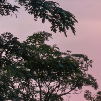 1000做一个向上的人呀，读温柔的句子，见阳光的人，眼里饱含笑意。世间所有完美，