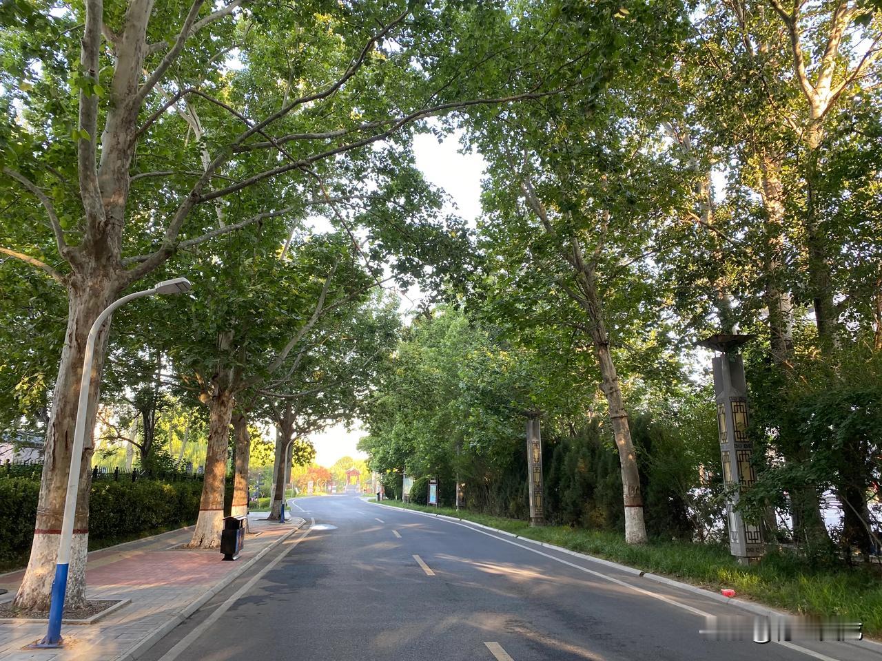 热爱生活，不仅是一种态度，更是一种可贵的能力。幸福不是等来的，而是自己创造的。不