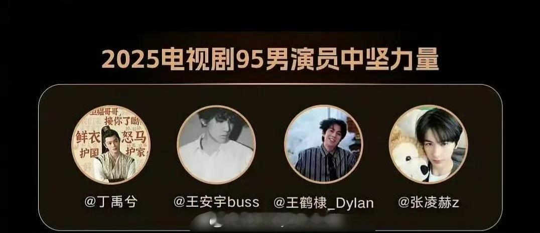 2025电视剧95男演员中坚力量：丁禹兮、王安宇、王鹤棣、张凌赫2025电视剧0