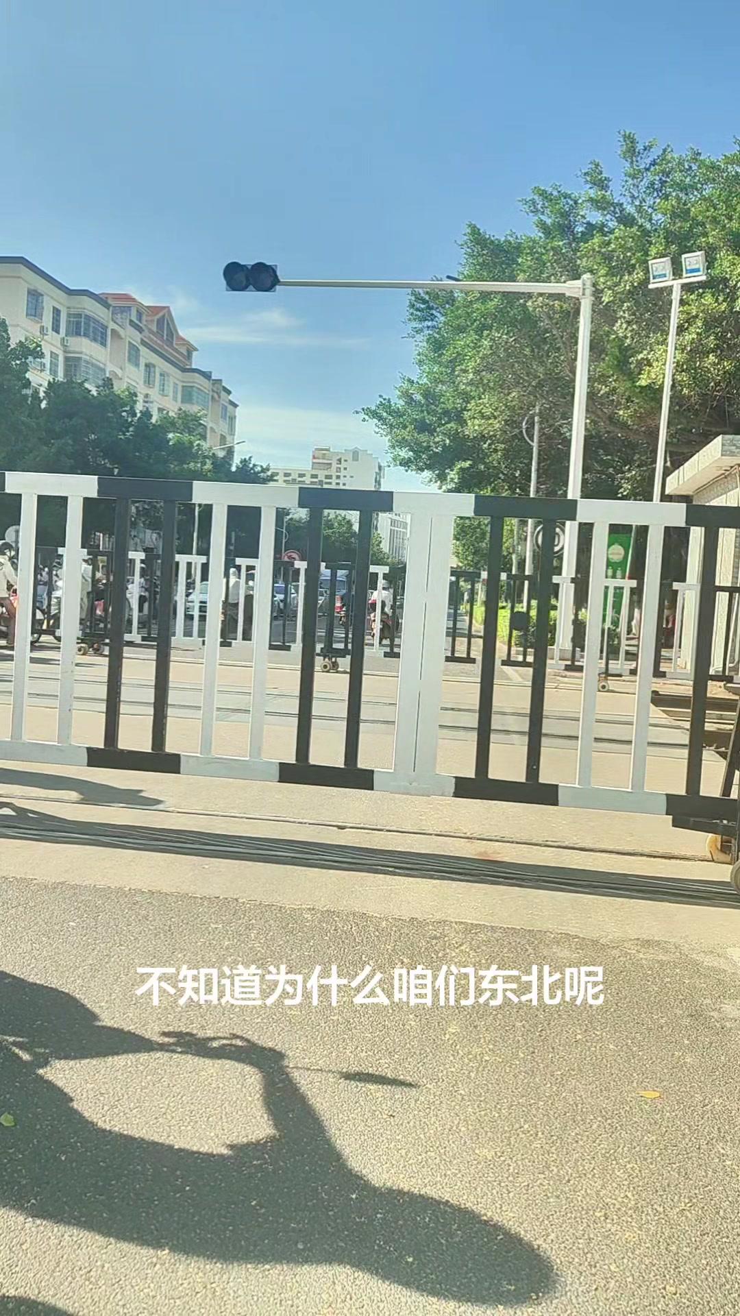 摩托车在海南就是出行神器，东北夏天也该安排上了！又快又方便，还不占地方，能省不少