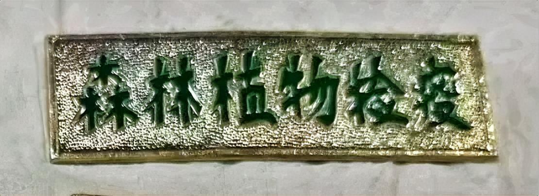 森林植物检疫