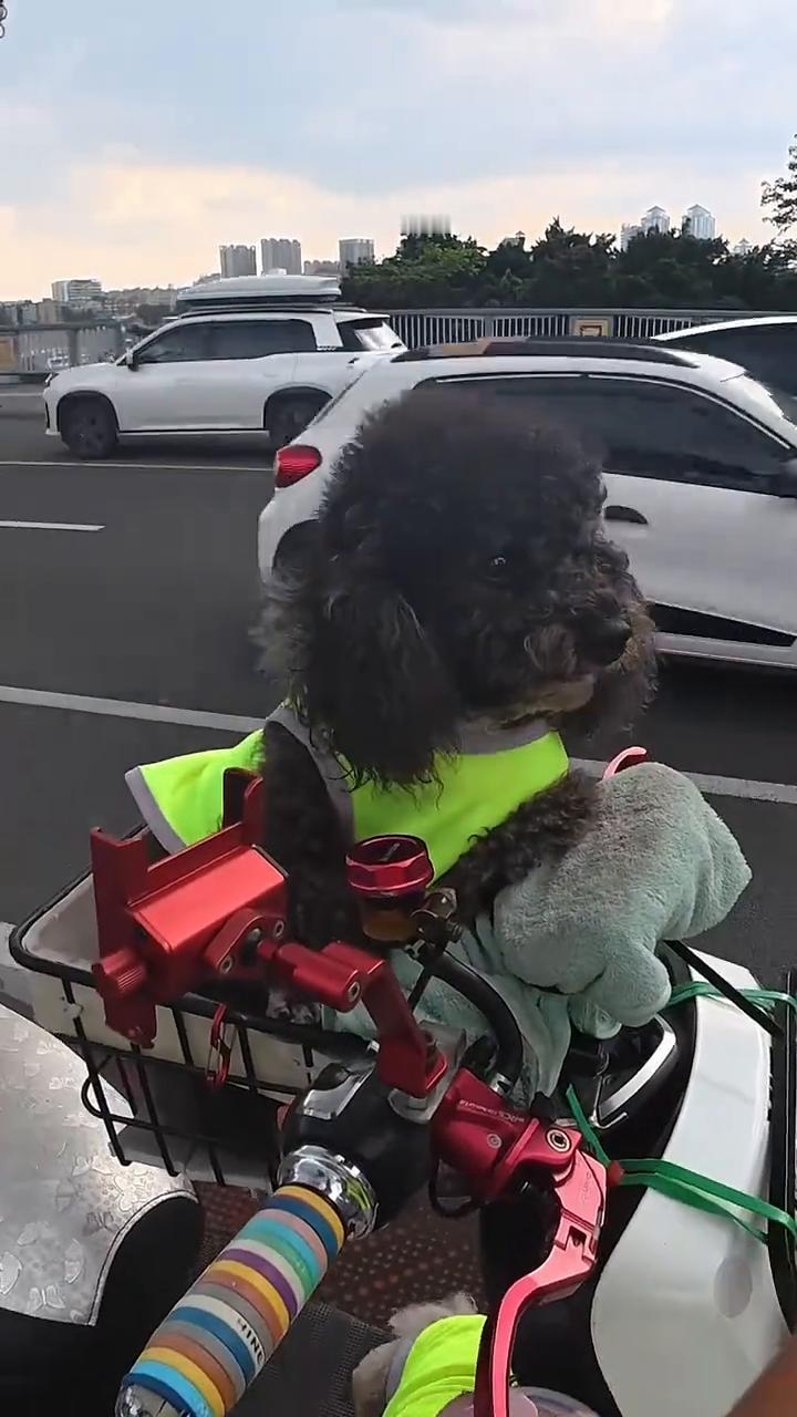 哇哇。