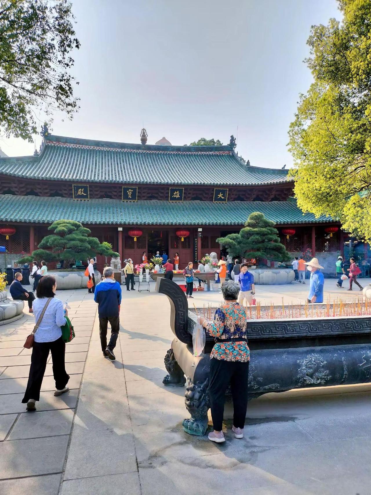 不觉春已深，今日二月一。拍花也是一种快乐 海幢寺 苦楝树 二月初一 街景随拍 海