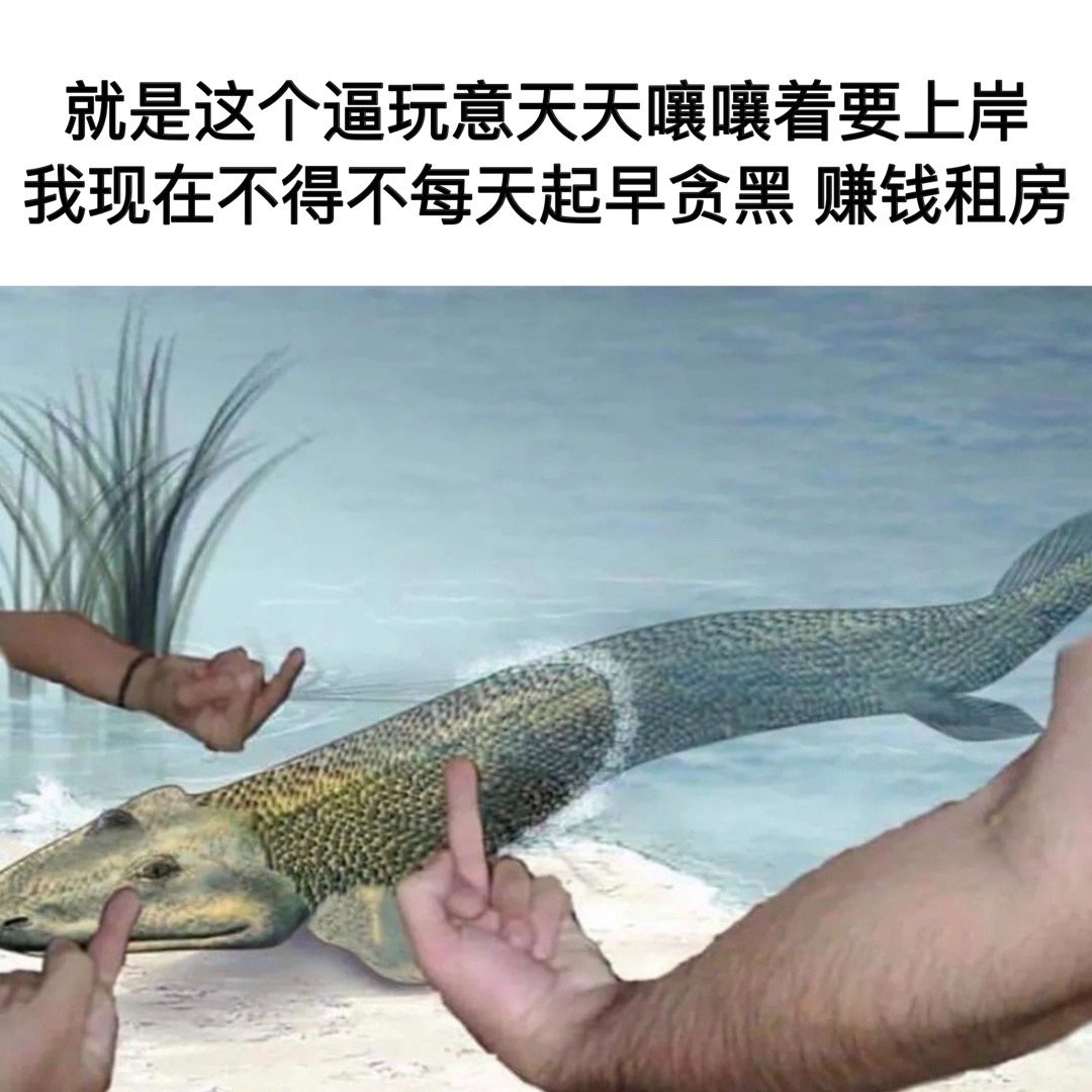 我每次看到“上岸”都会想起来这个梗上岸就是从上一个坑跳到下一个坑的过程是一种单纯