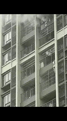 分享我这周有趣的事：这是啥情况？女的吗？不恐高吗？