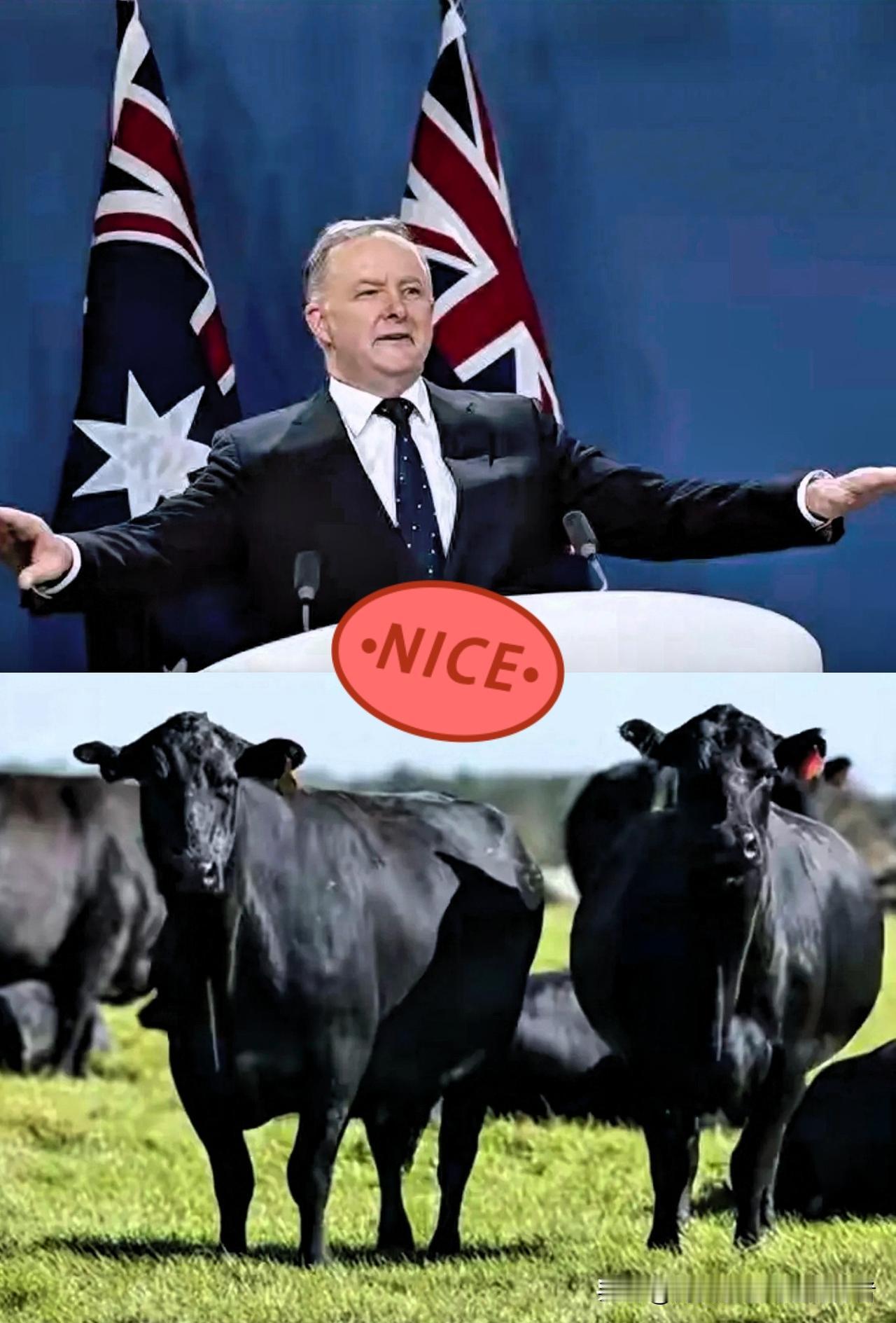 最近这国际局势真是越来越有意思了。
这回算是见识了什么叫“现世报”，都不带隔夜的