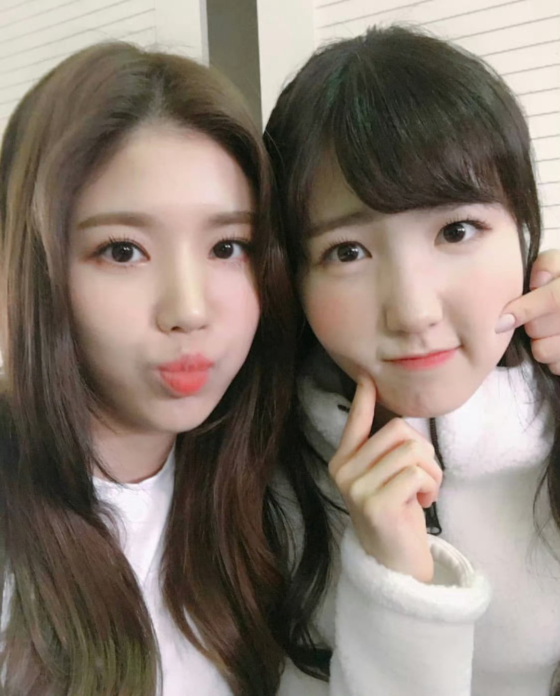 IZONE🎂本田仁美1006生日快乐 Wuli小草莓仁美生日快乐🥳太萌了…天