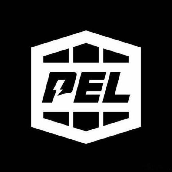 pel续命之见解1，增加赛事。一年可以办三个赛季；然后可以加各种杯赛，充实比赛空