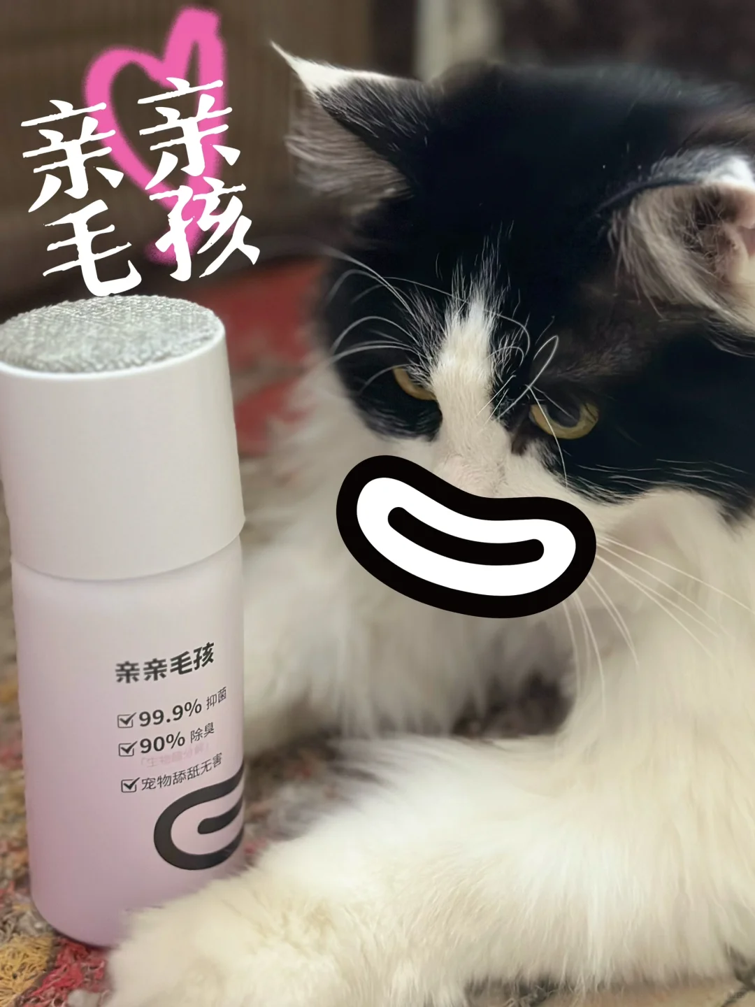 亲亲我的毛孩~🐱