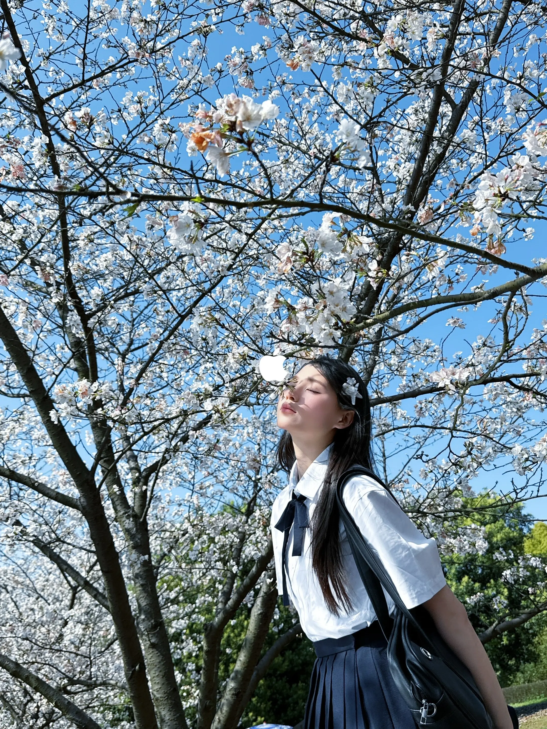 抓住樱花最后的浪漫！随手拍出电影感。别等樱花谢了才想起春天！  拿起i...
