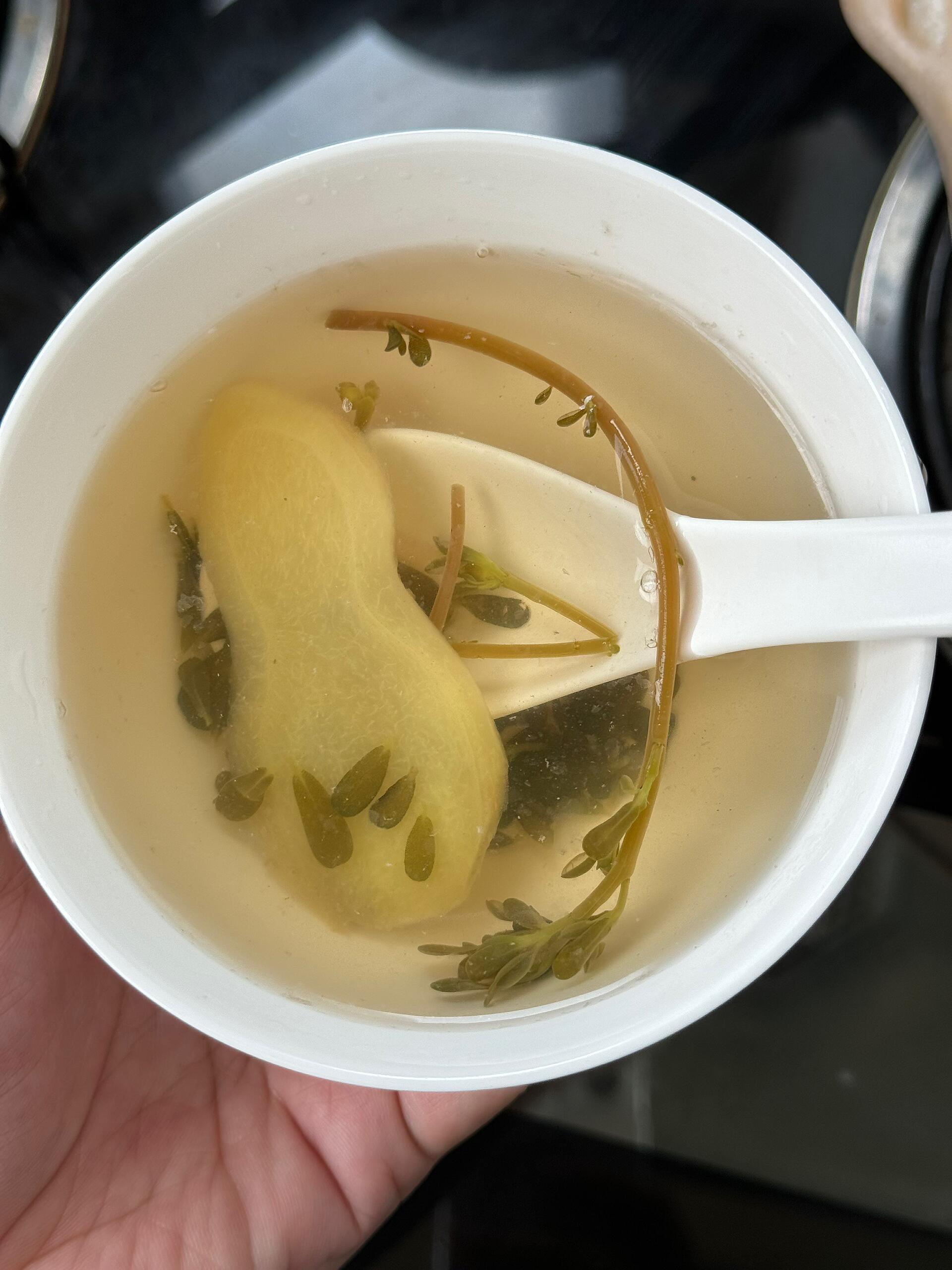 体内湿毒，五脏浊热，喝马齿苋煮水马齿苋包含了五行的精气所以它的清热作用真的是全方