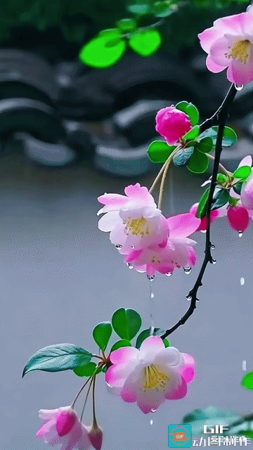 熬过料峭寒风，踏过残冬余雪，春天真正的模样，从不是一枝独秀的清冷，而是万紫千红竞