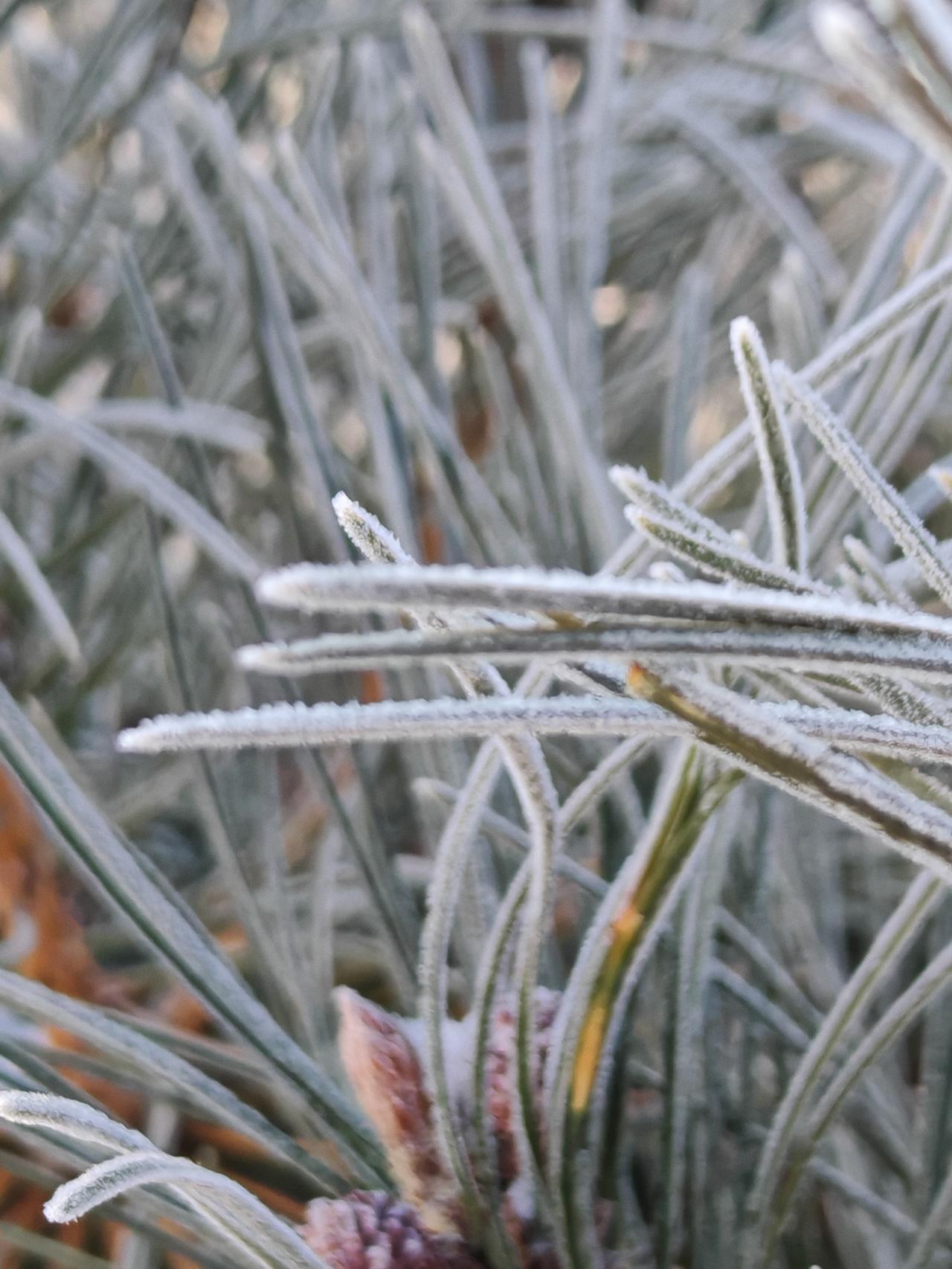 与痛风斗争的历程84
 
   早上起床，天朗气清，又是崭新的一天。起身活动时，