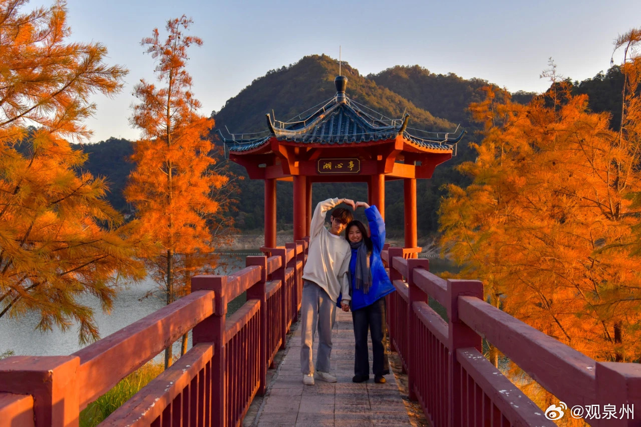 福建德化这片梦幻水杉林美翻了 连日来，初冬柔和的阳光，将大自然涂抹出层层鲜艳色彩