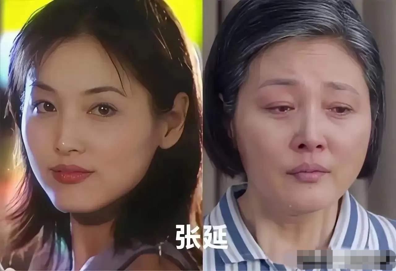 张延、刘佳、岳红，年轻的时候是真好看，各有各的气质，美得特别有辨识度，现在从容老