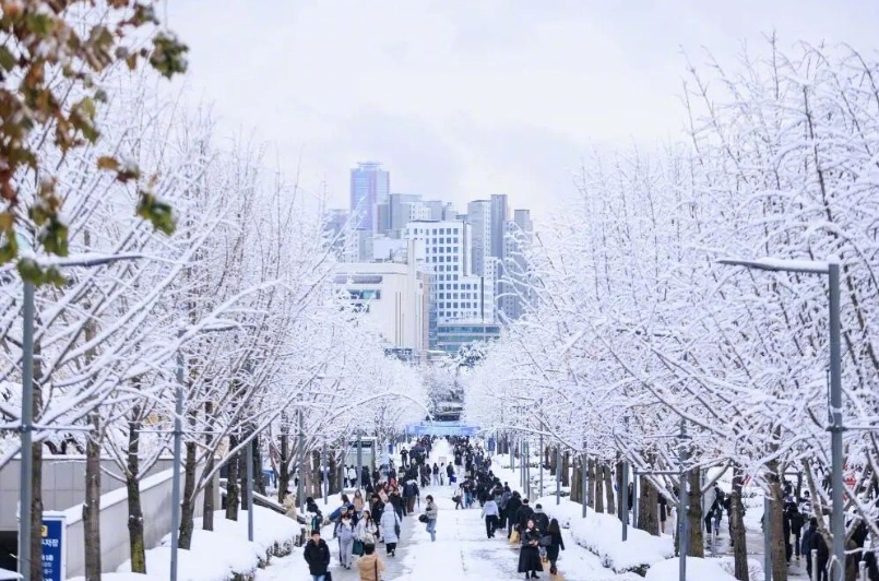 【韩国延世大学曝大规模作弊丑闻：数百学生涉嫌用AI参加在线考试，通过调整摄像头角
