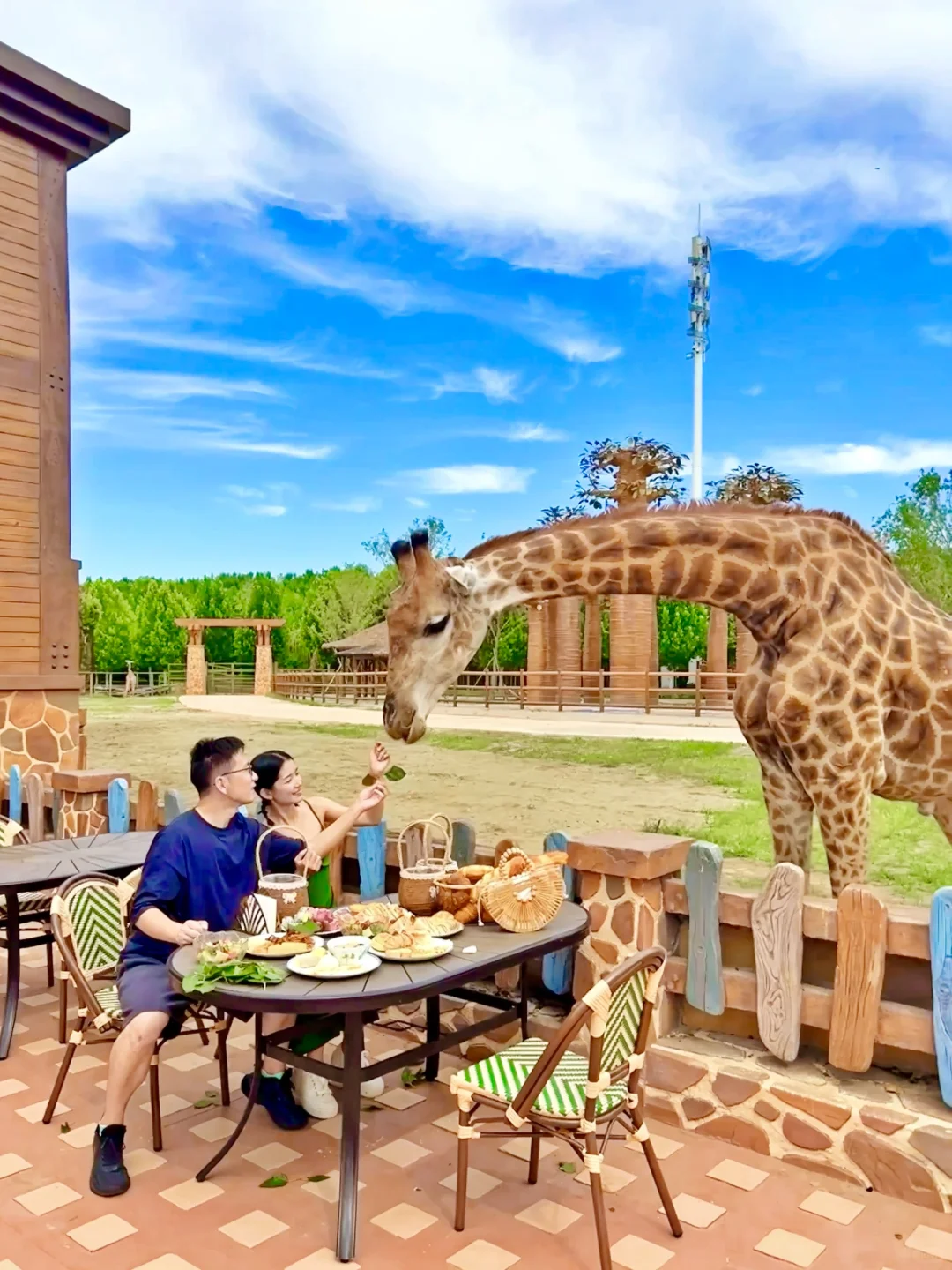 live图！北京1.5h住进动物王国🦒48h畅玩攻略