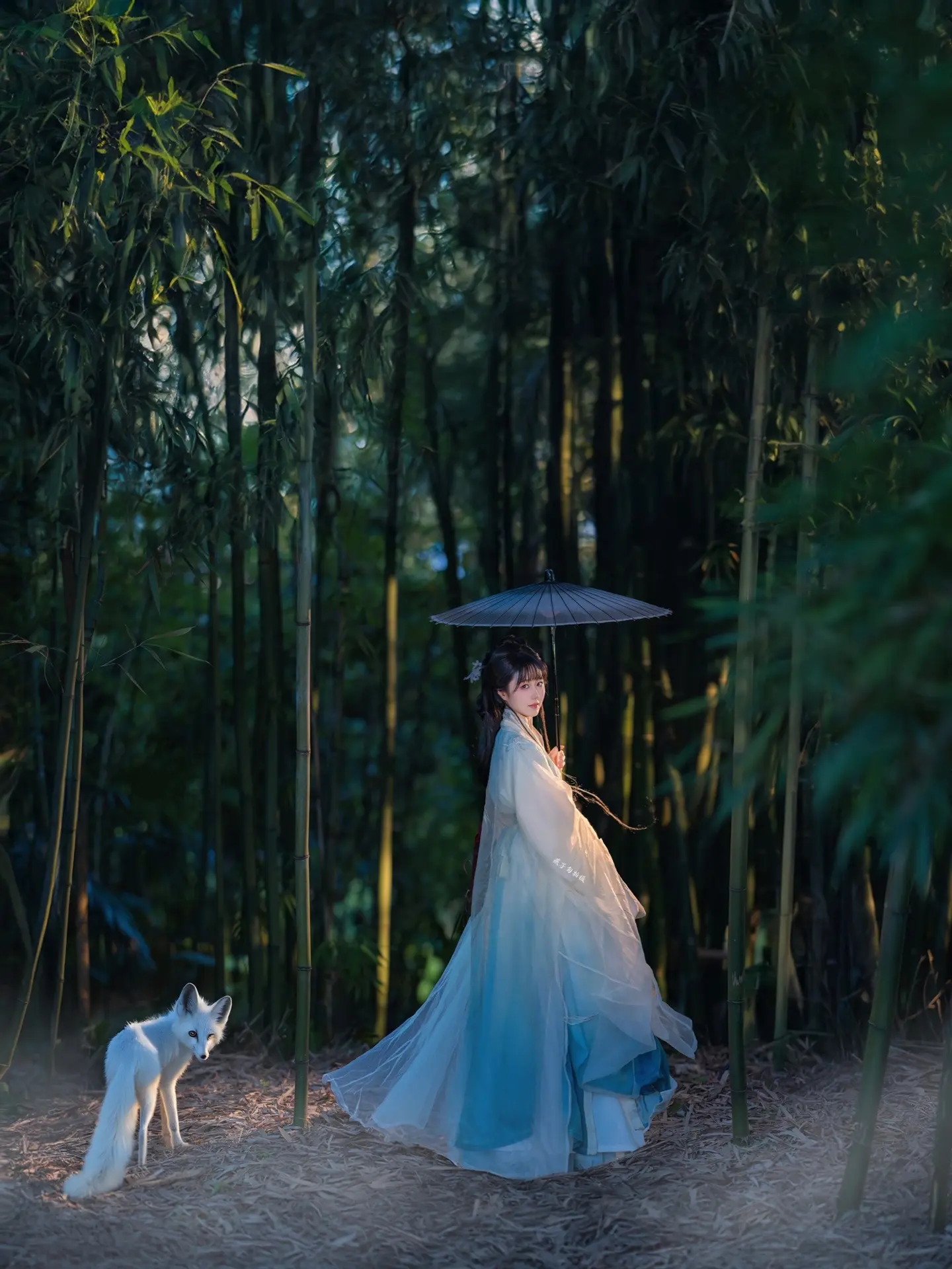 青丘.白狐.