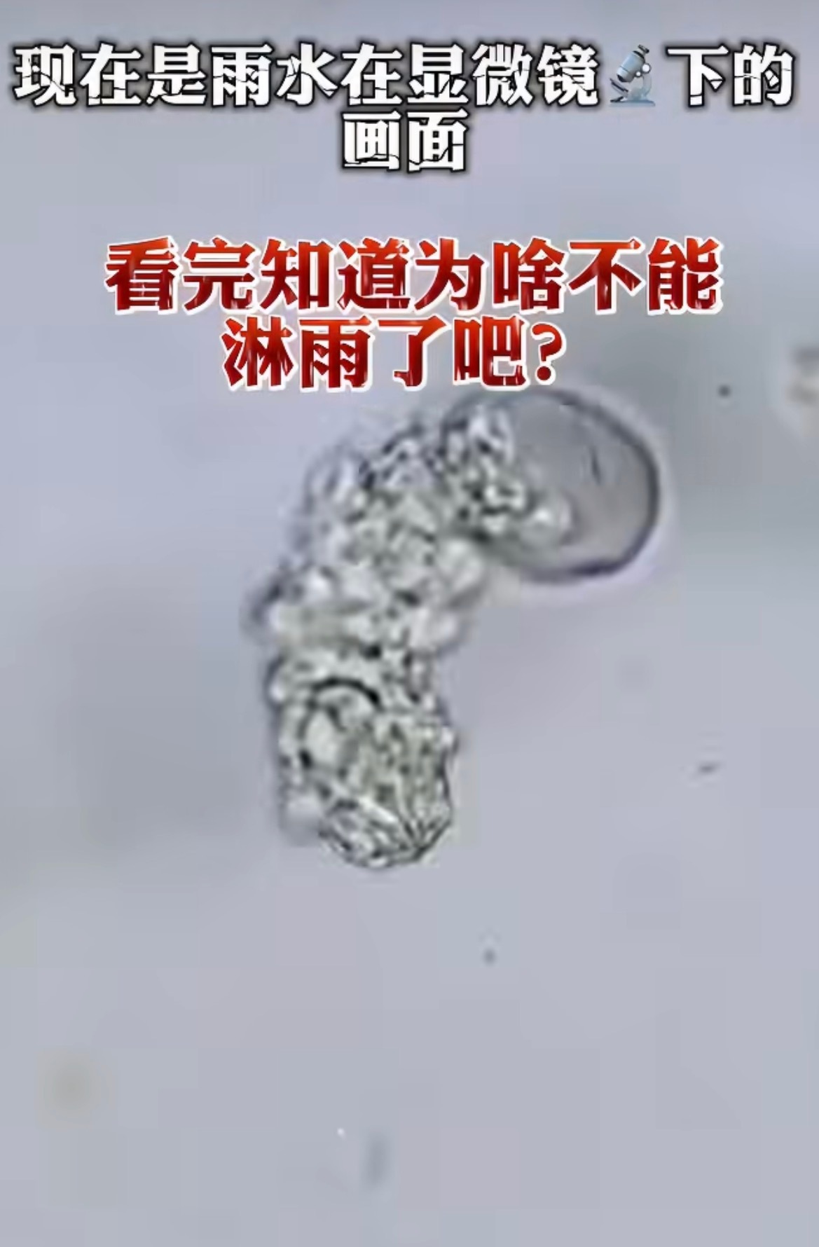 怪不得淋雨后要洗澡换衣服看起来好恐怖，像好多虫子在爬…要是上班上学淋雨就没办法，