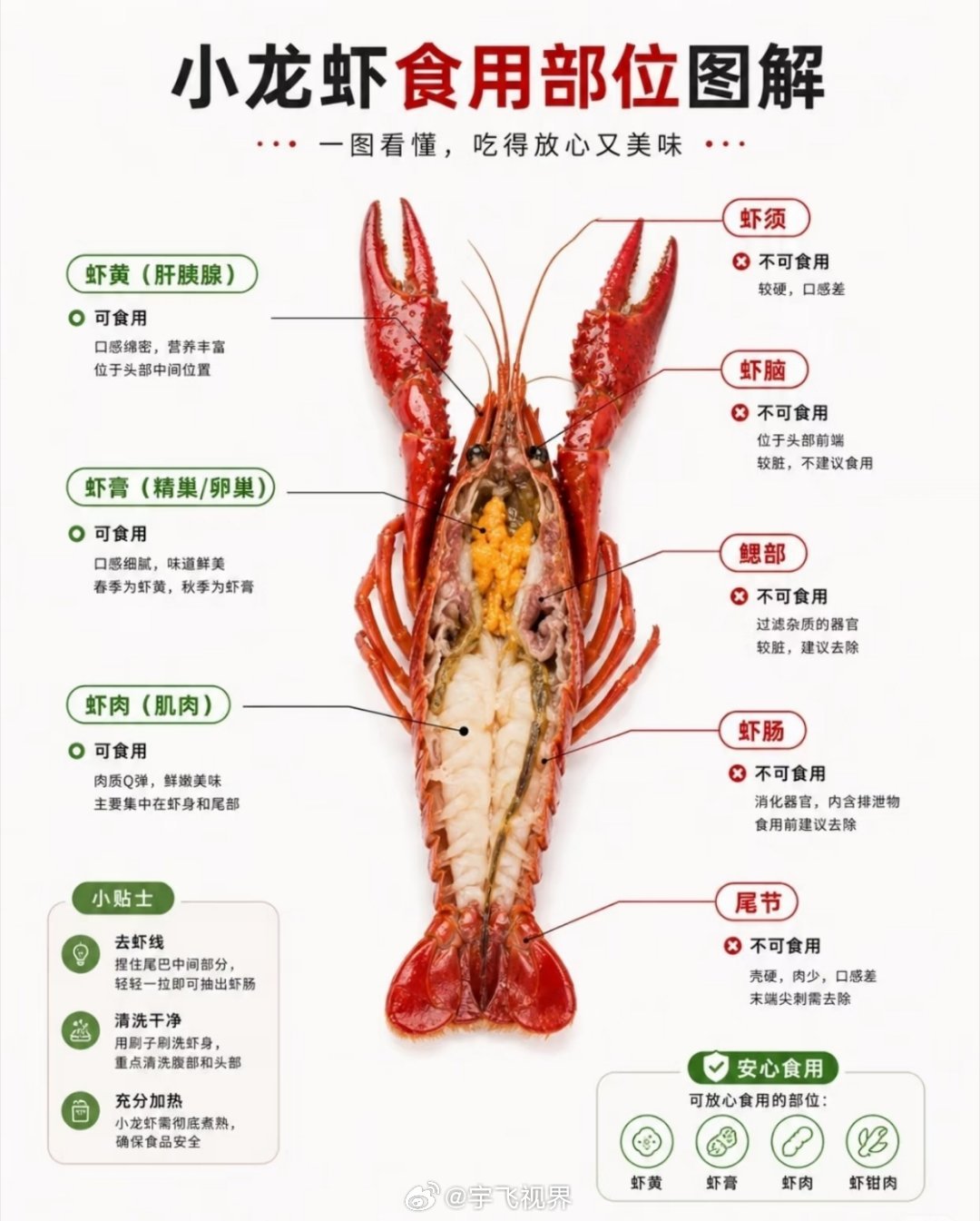 小龙虾食用部位图解 