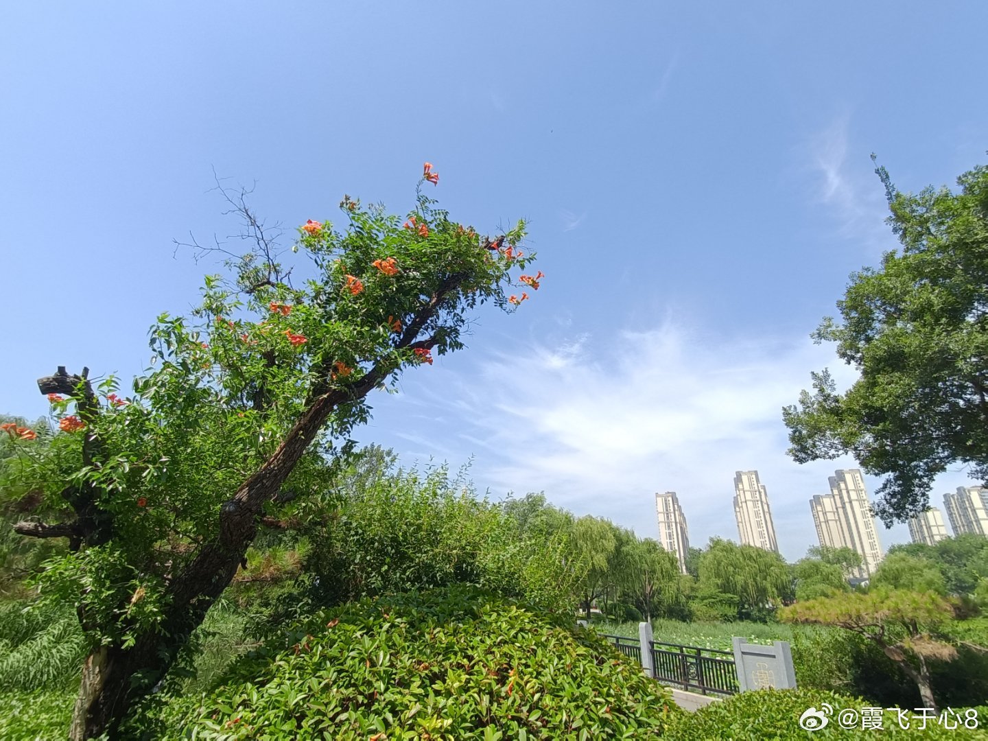 随手拍无论如何岁月始终明媚灿烂 