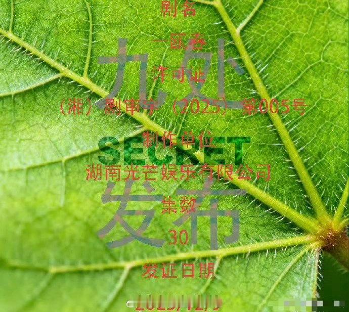 许凯、周也的电视剧一瓯春已过审下证 ！30集，目前平台还没定，95的两个颜值扛把