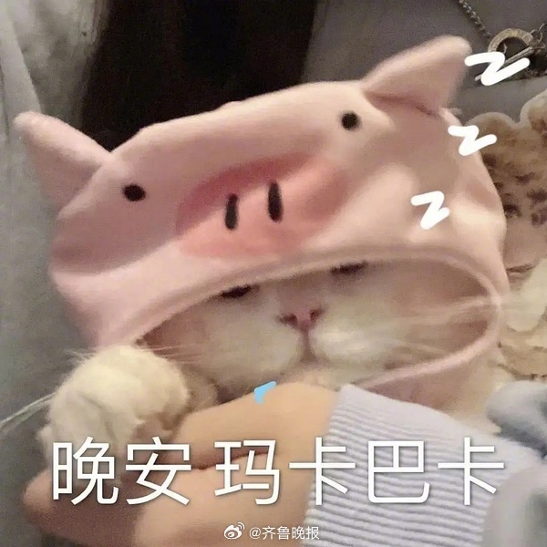 今天的事今天翻篇，明天你还要忙着可爱。#晚安# ​​​
