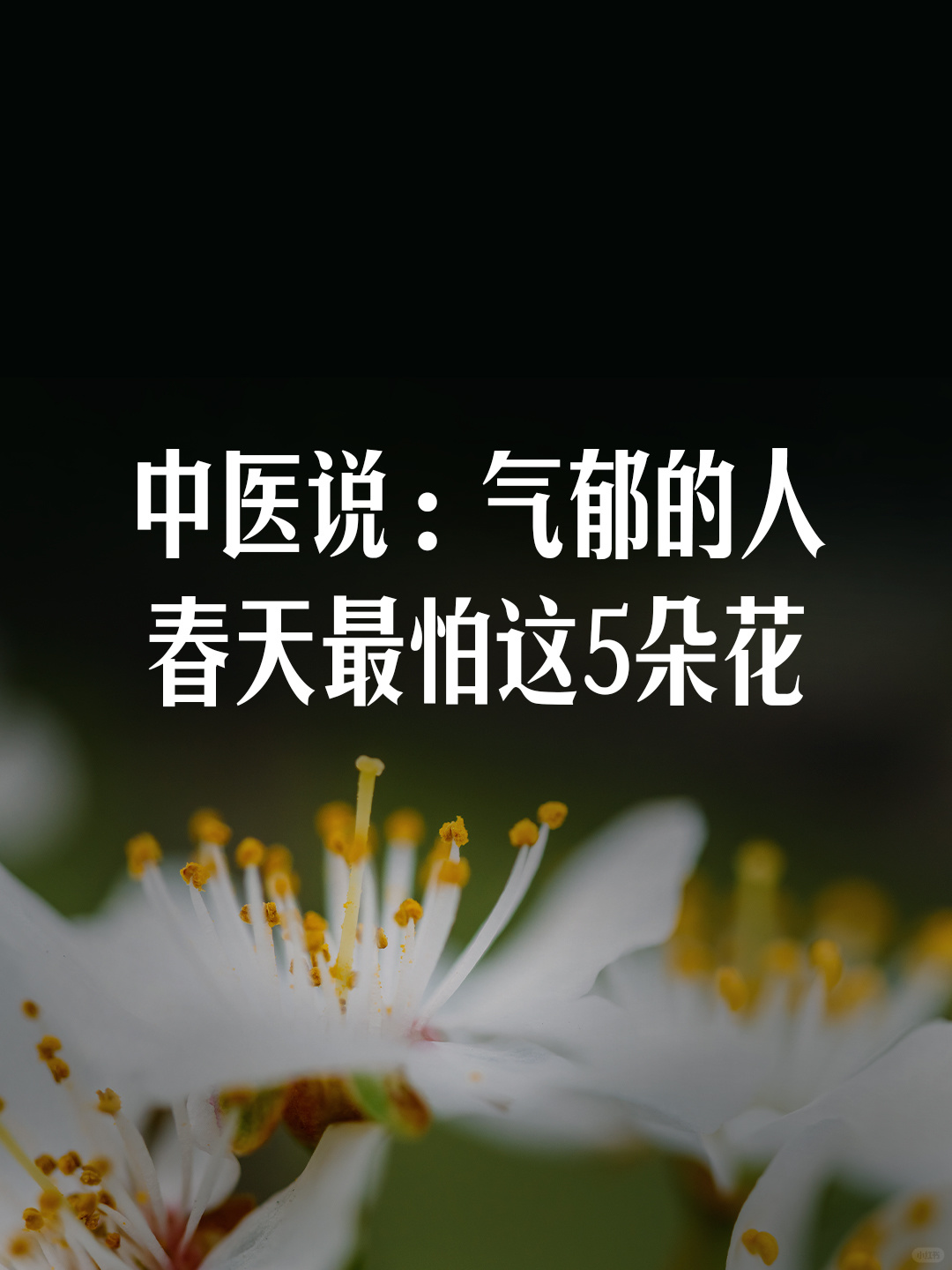 中医说：气郁的人，春天最怕这5朵花