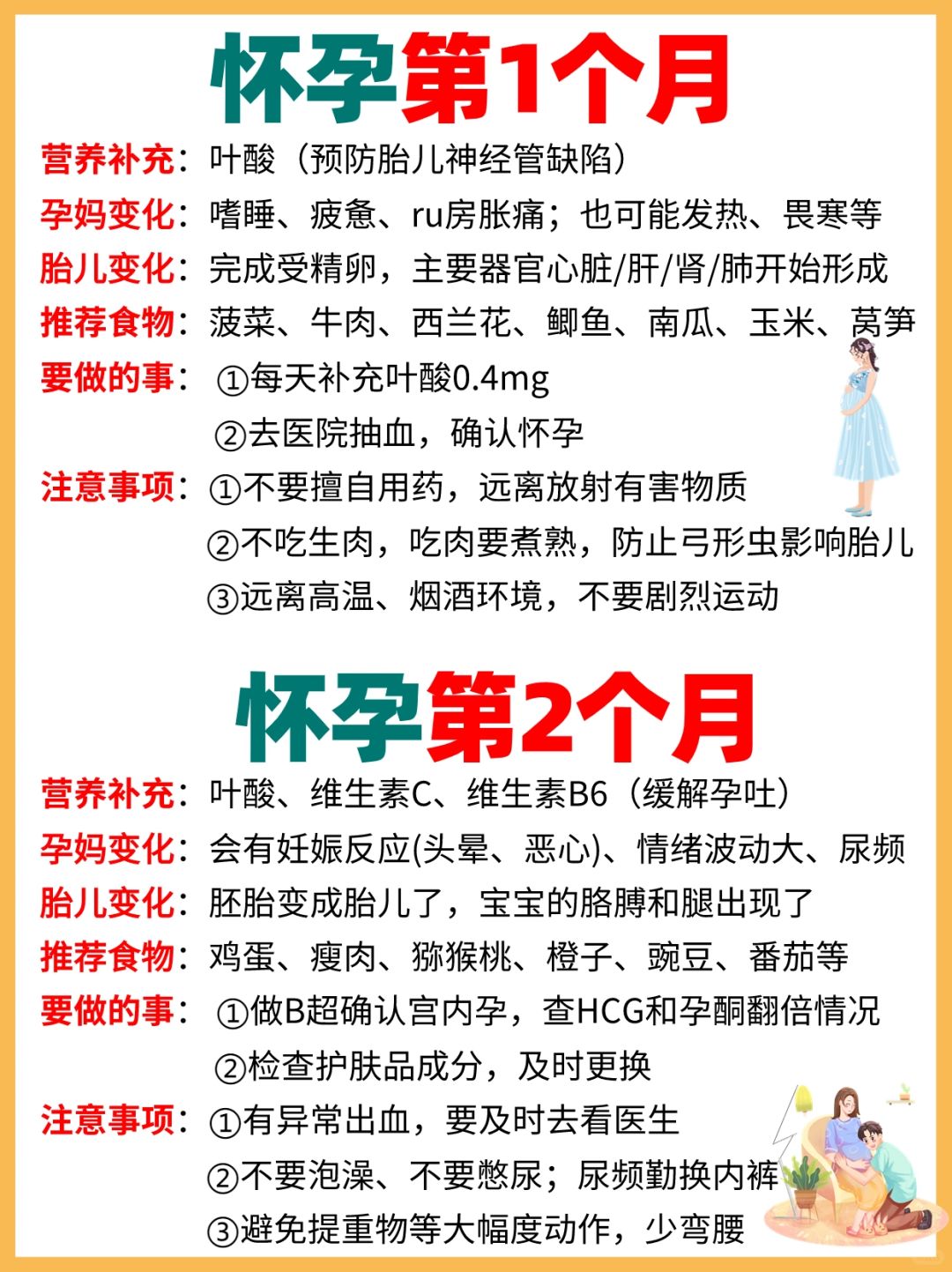 怀孕1-10月 营养补充+孕期变化+注意事项