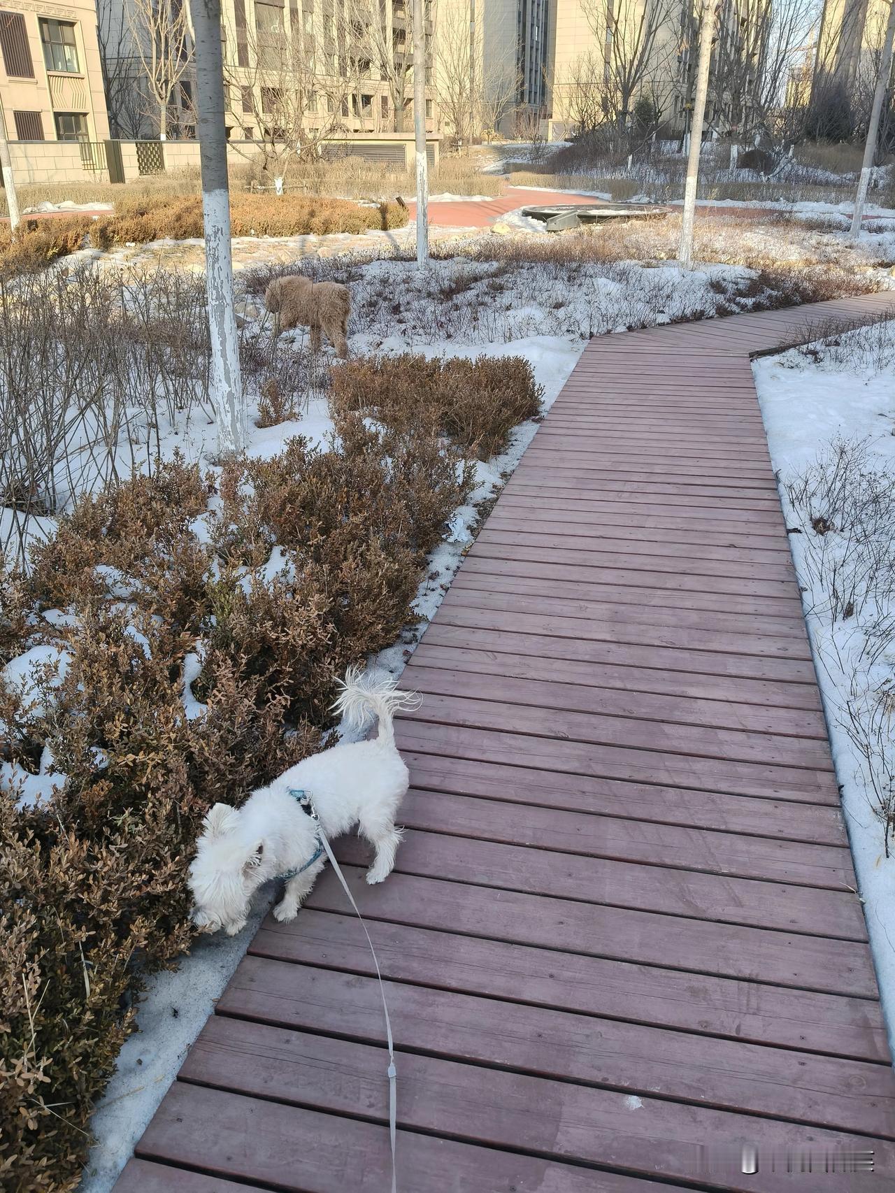 爱是细节，不爱也是