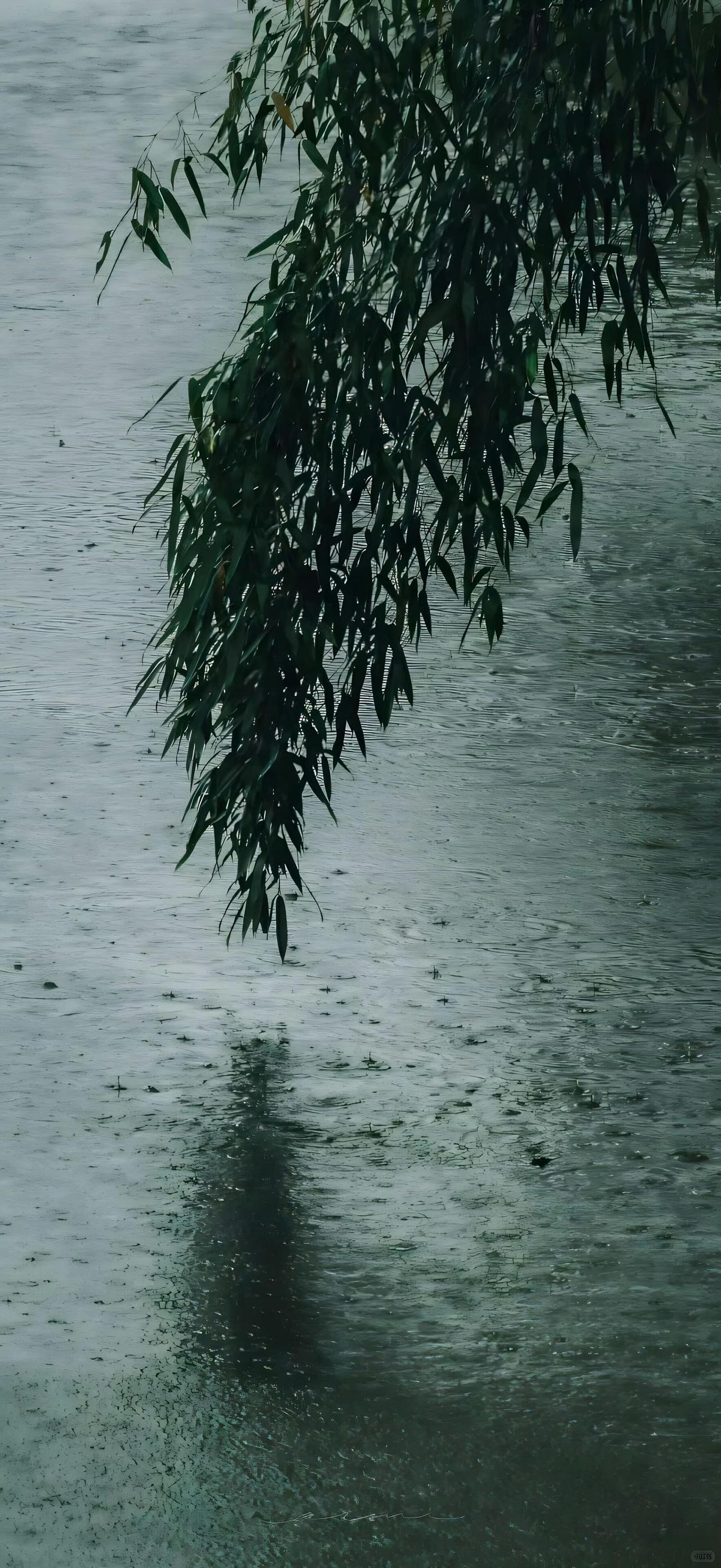 每个人都有自己的风景,在忙,在努力在调整状态,在找更好的自己。